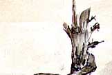 Charred remains of a young person