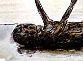 Charred remains of a young person