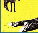 Gene Grief's Illustration for the CLASH