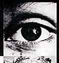 Cal's Photomontage Illustration