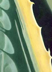 "Cactus II" Oil painting by Mark Vallen 