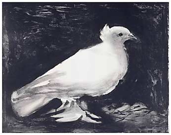Dove - 1949 Lithograph by Picasso