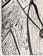 Woodcut by Emmy Lou Packard 1950 